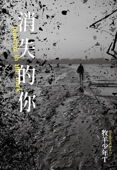 消失的你