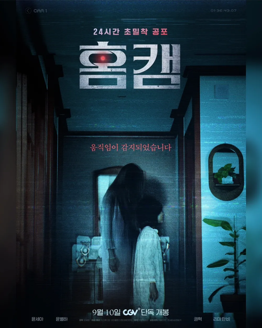 홈캠